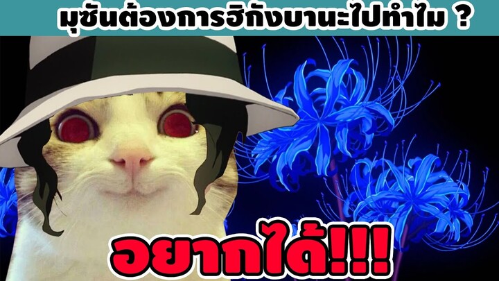 อดีตเบื้องหลังของมุซัน ราชาเเห่งอสูร ต้องการดอกฮิกังบานะสีน้ำเงินไปทำไม ?