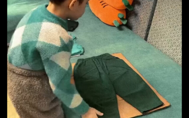 Clothing Folding Gadget