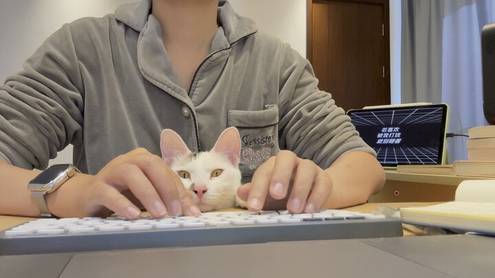 A showcase of Cat De Education's phased achievements?
