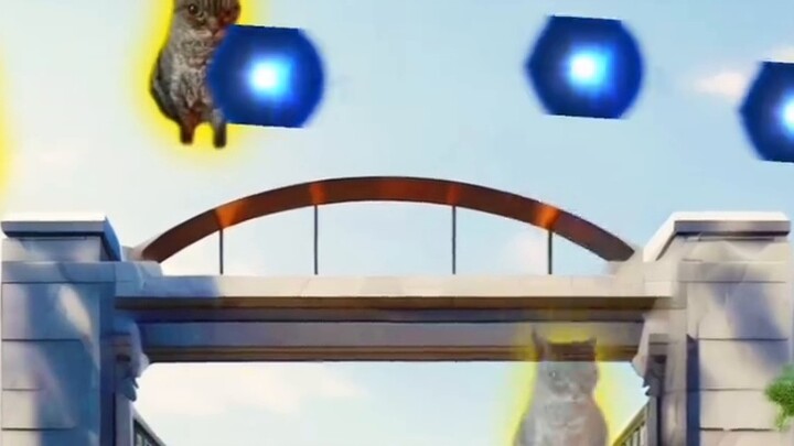 "Little Bird Military Academy" (5)——A battle between hot and cold!