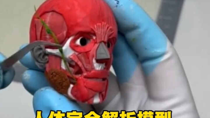 Human Body Full-Resolution Model Combination