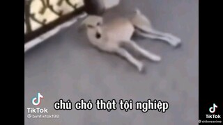 ko đc cười nhá 😂