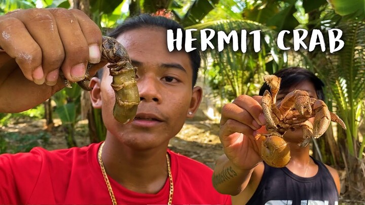 X Stream Vlog - Hermit Crab
