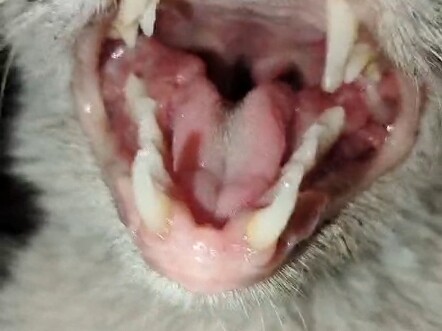 Our ancestors are truly amazing