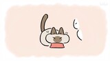 Anime|Super Cute Siamese Cat "Little Bean" Earns Everyone's Heart