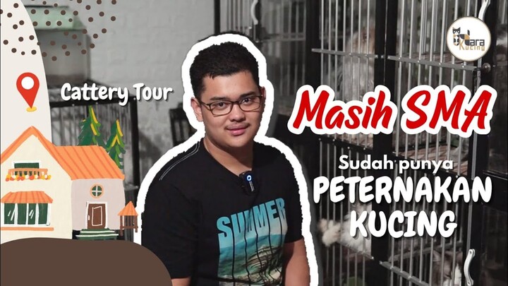 Room Tour ke Fanyla Cattery Palembang, Hampir Semua Jenis Kucing Ada Disini