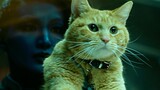 噬元兽：我只是一只橘猫而已，能吞下一整个宇宙的那种可爱橘猫！