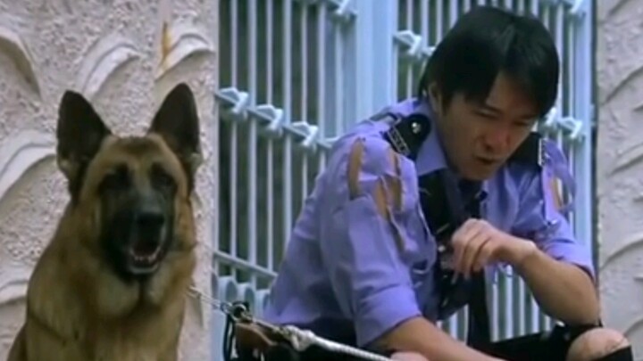 The two of them made cameo appearances for each other, and it became a classic scene!