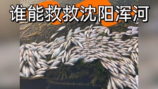 求转发，求治理