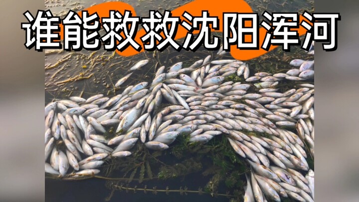 求转发，求治理