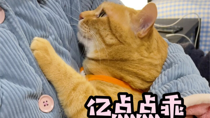 Kalau nggak pahit, dibandingin sama si Dūndūn tetangga, ya cuma manis sedikit aja!