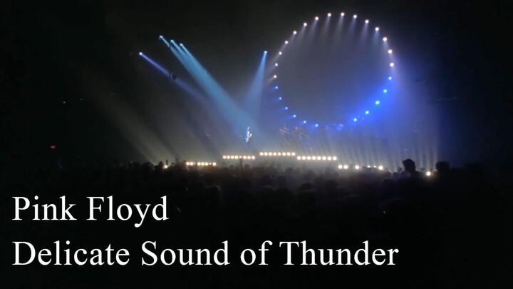 Pink Floyd - Delicate Sound of Thunder (Live in New York 1988)