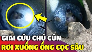 Quá trình GIẢI CỨU chú chó con bị rơi xuống 'ỐNG CỌC BÊ TÔNG' sâu hơn 15 mét 😥 | Gâu Đần