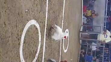 Bye puti ko mas maganda ang patama ng kalaban