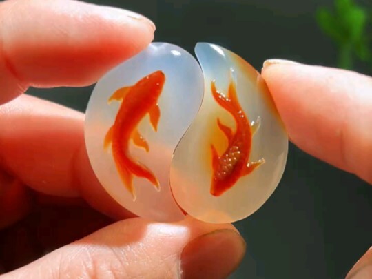 อยู่เคียงข้างคุณ