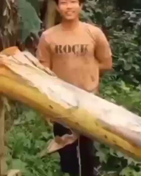 Josuke in a nutshell