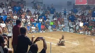 # lost tayo..new taytay..