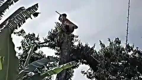 Uchiha di Indonesia 😂😂👍