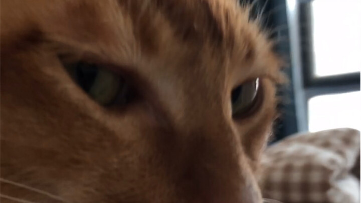 Next time Dūndūn beats me up again, I’m just gonna chow down on snail noodles…