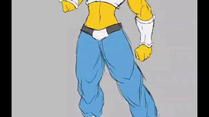 HOMER Z