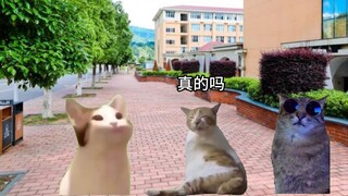 When a restaurant owner meets a simple college student