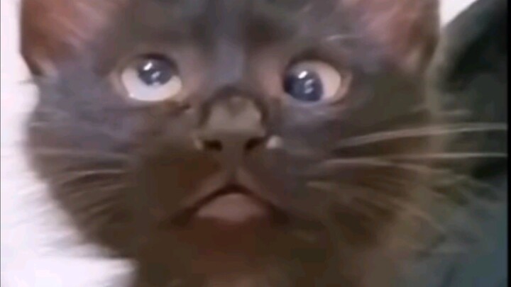 một chút say tình