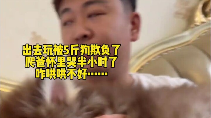 Fat Dog now weighs 50 lbs—today he went out to play and got bullied by a 5-lb dog. He’s crying, and 