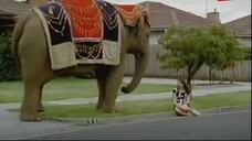 Nàng Công Chúa Bí Ẩn Tập 2