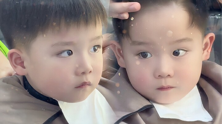 The novel’s rich, overbearing CEO trope just got a whole new twist with twin moths who look identica