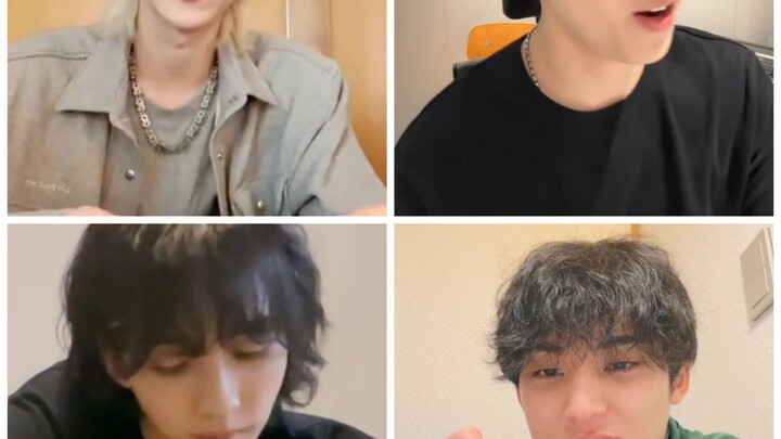 【Dubbing Tidak Bermoral】Kalau SEVENTEEN Jadi Streamer Live (Tanpa Pairing)