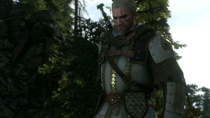 Witcher 3 wild hunt: Cotract Missing Son