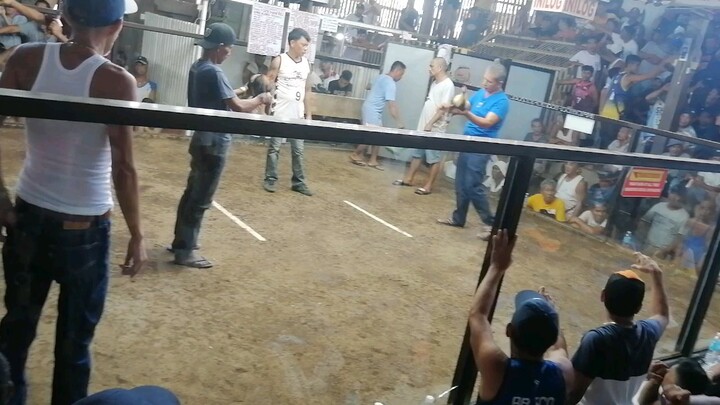 1st fight @albuera cockpit last April 7