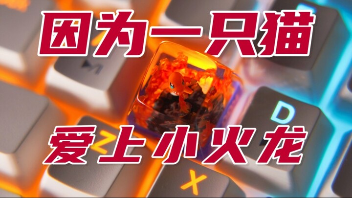 他因为一只猫，成为了神奇宝贝粉丝，粉了小火龙二十年