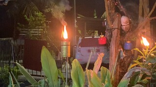 Pelita 2025
