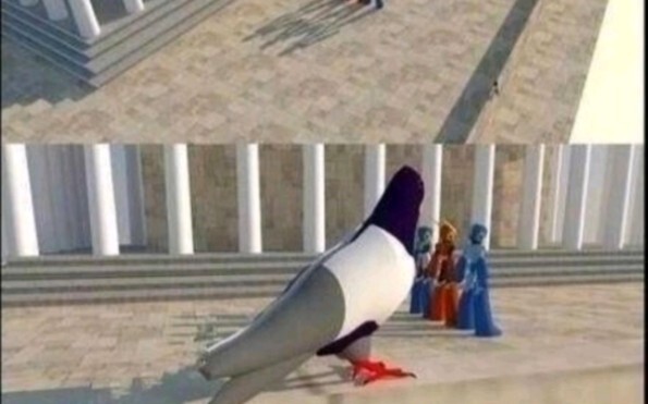 Vậy chắc là một con chim bồ câu rất lớn đang đứng trên tường.