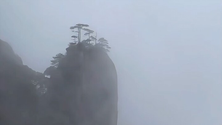 “Vạn dặm núi non giam hãm thân ta, trước khi chết lại mơ về mùa xuân năm ấy nơi quê nhà”