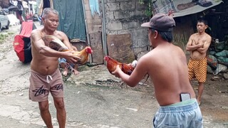 July 13 Bulik vs Mayahin