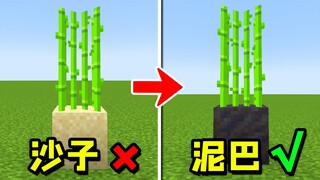 Minecraft: 8 Simple Tips You Must Know for Farming!