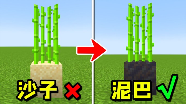 มายคราฟ: 8 เทคนิคง่ายๆ ที่จำเป็นสำหรับการทำไร่!