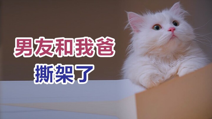 ความฝันเป็นเจ้าหญิงของฉันนะ จริงๆ แล้วมันเคยเป็นจริงแค่กับเธอคนเดียวเท่านั้นเอง