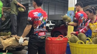 เด็กคัดทุเรียน