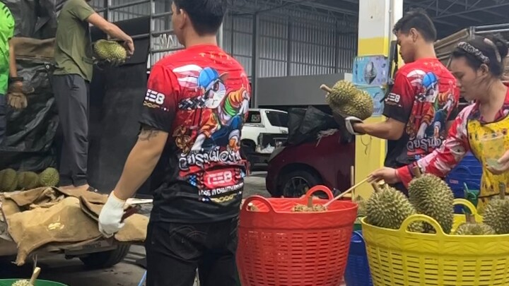 เด็กคัดทุเรียน