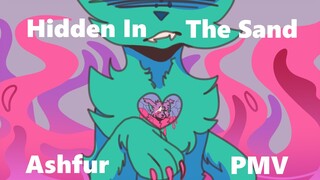 Hidden In The Sand Ashfur PMV