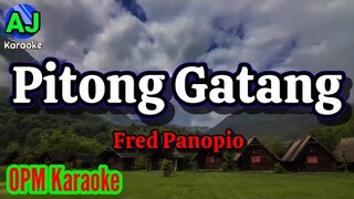 PITONG GATANG - Fred Panopio | OPM KARAOKE HD