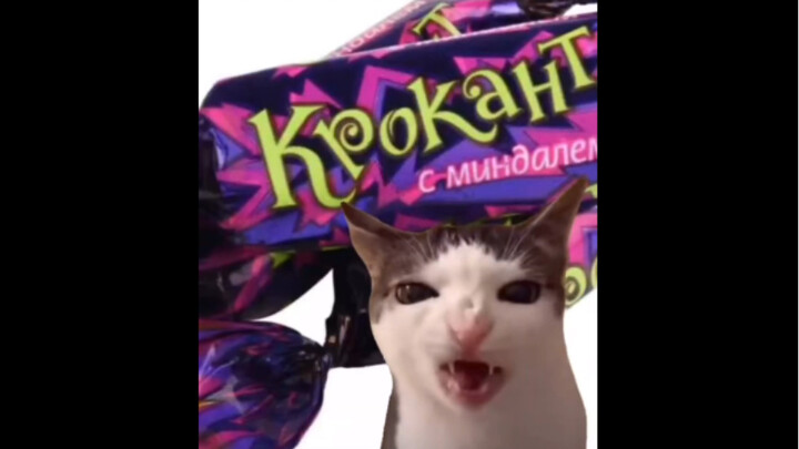 ลูกอมที่ดีที่สุด