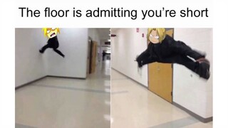 Fullmetal Alchemist Memes