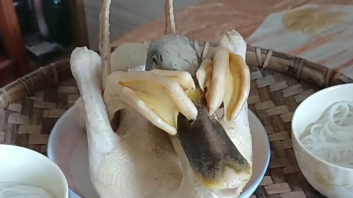 Pencabutan bulu ayam yang asli