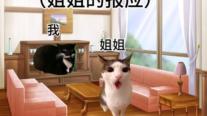 [猫猫meme]童年之姐姐的报应