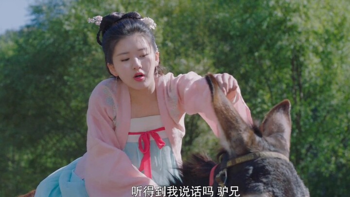 Suster Fei “level 10 bahasa donkey” — campur aduk dialek Timur Laut, bahasa Inggris, dan bahasa Kore