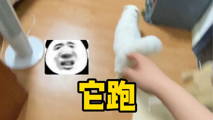 แมวน่ารักขนาดนี้ ทำไมถึง…